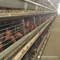 bob手机客户端:衢江3个农业项目获省级资金鼓励 
